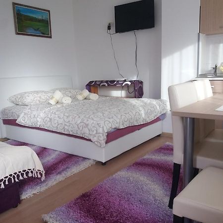 Apartment Bucic Zlatibor Rum bild