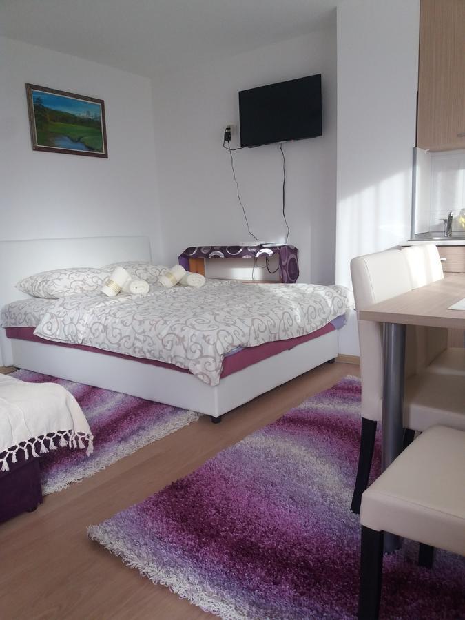 Apartment Bucic Zlatibor Rum bild